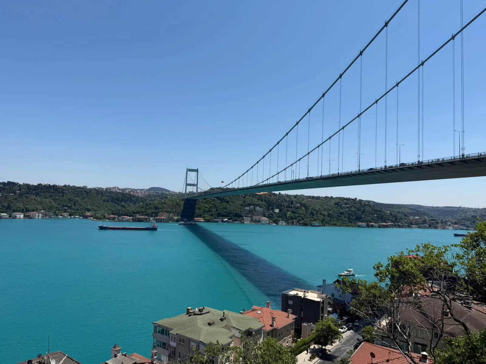Bosphorus view